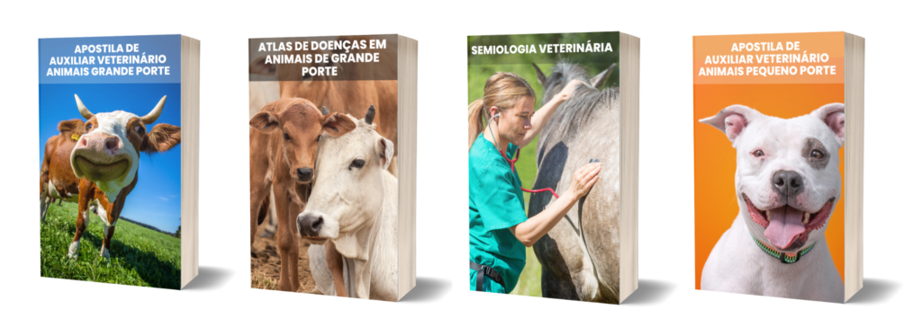 apostilas e1683732853587