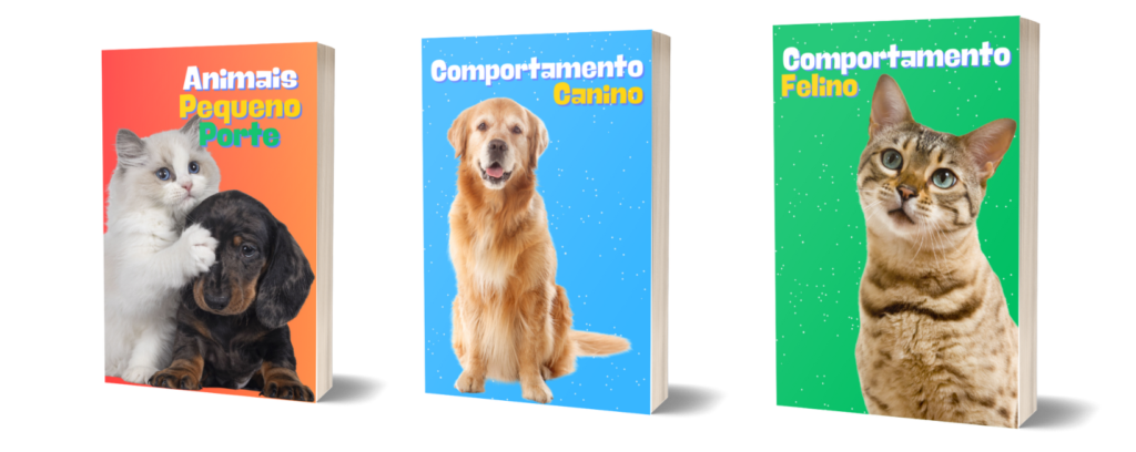 Copia de Copia de Sem nome Capa para Facebook e1718388904108