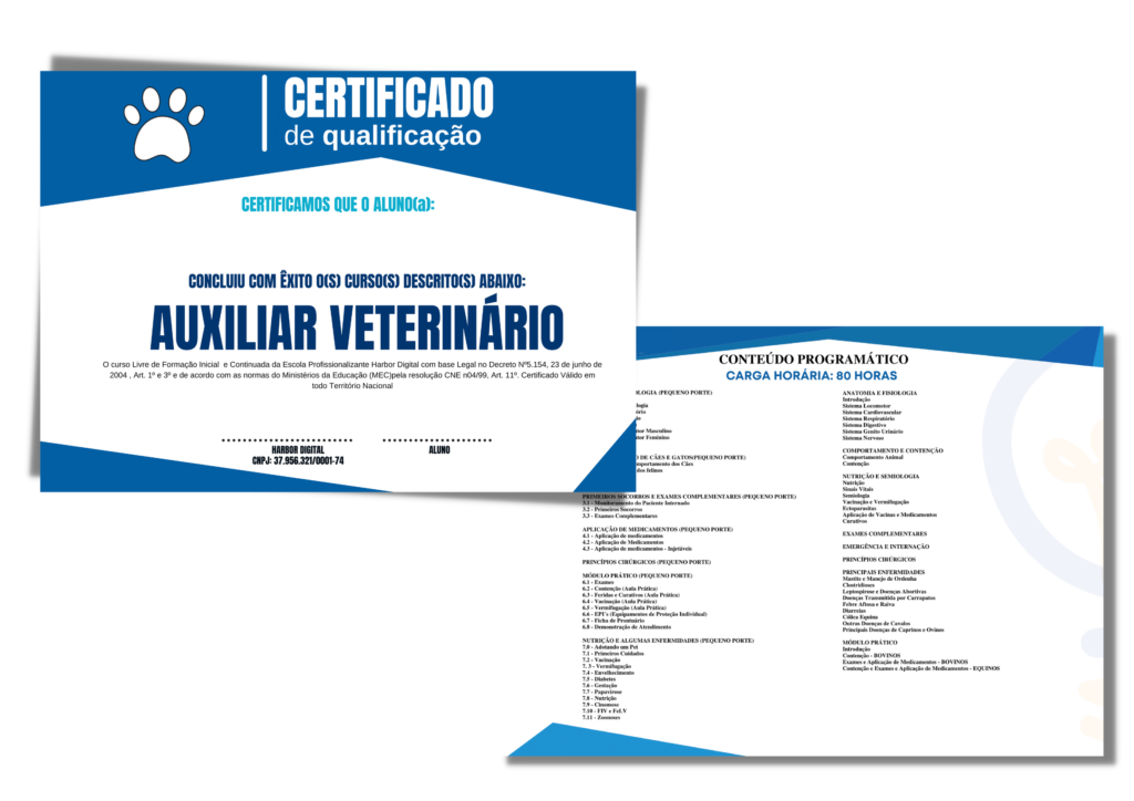 Copia de Design sem nome 1024x724 1