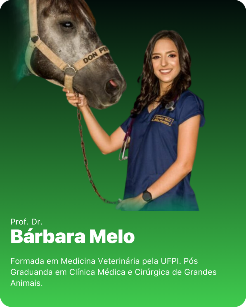 Copia de Copia de aux vet 02 3