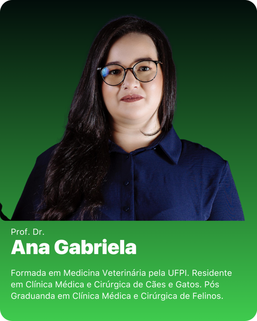 Copia de Copia de aux vet 02 4