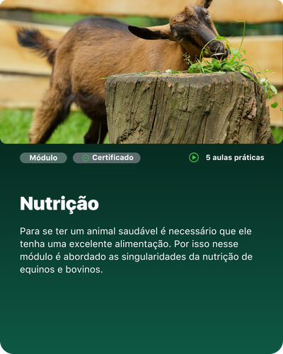 Cópia de Cópia de aux vet