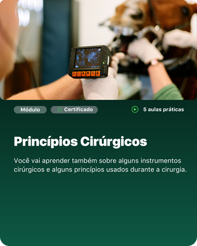 Cópia de aux vet 02